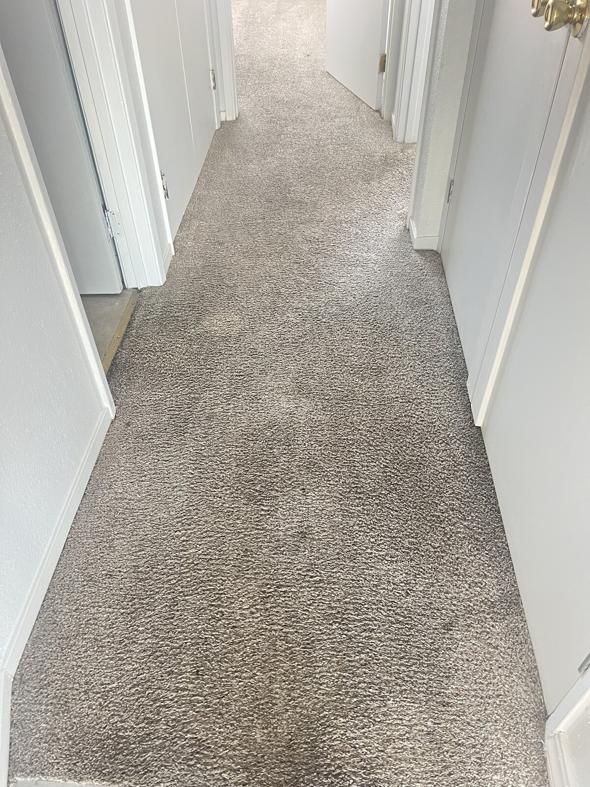 Carpet Cleaning in Folsom & the Sacramento Area after