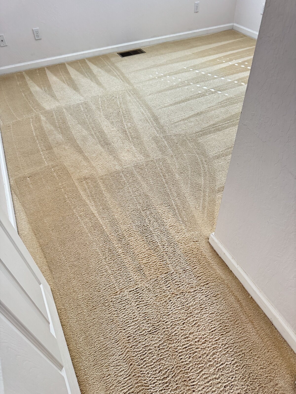 Freshly cleaned carpet by Keep It Clean America 1