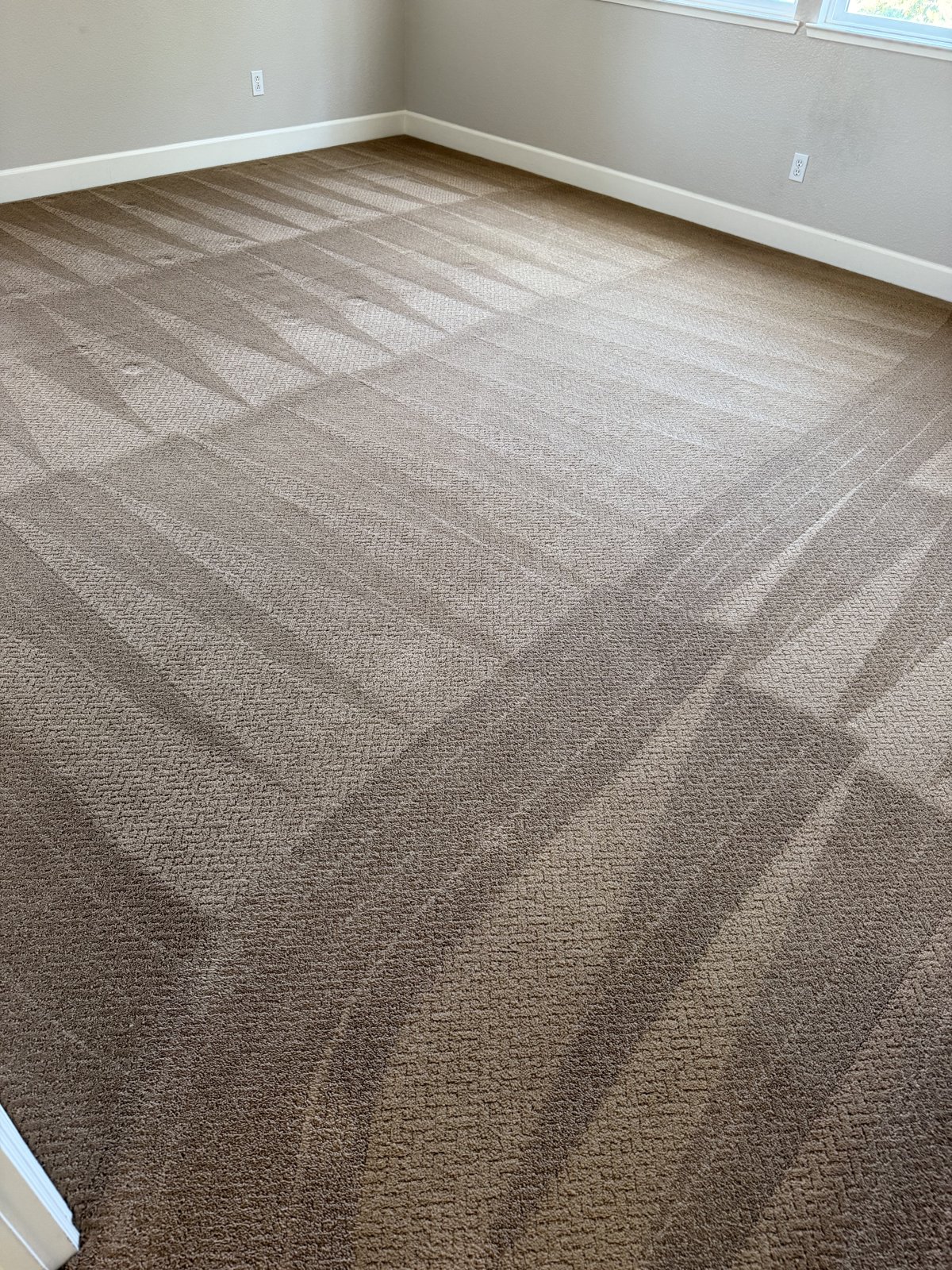 Freshly cleaned carpet by Keep It Clean America 2
