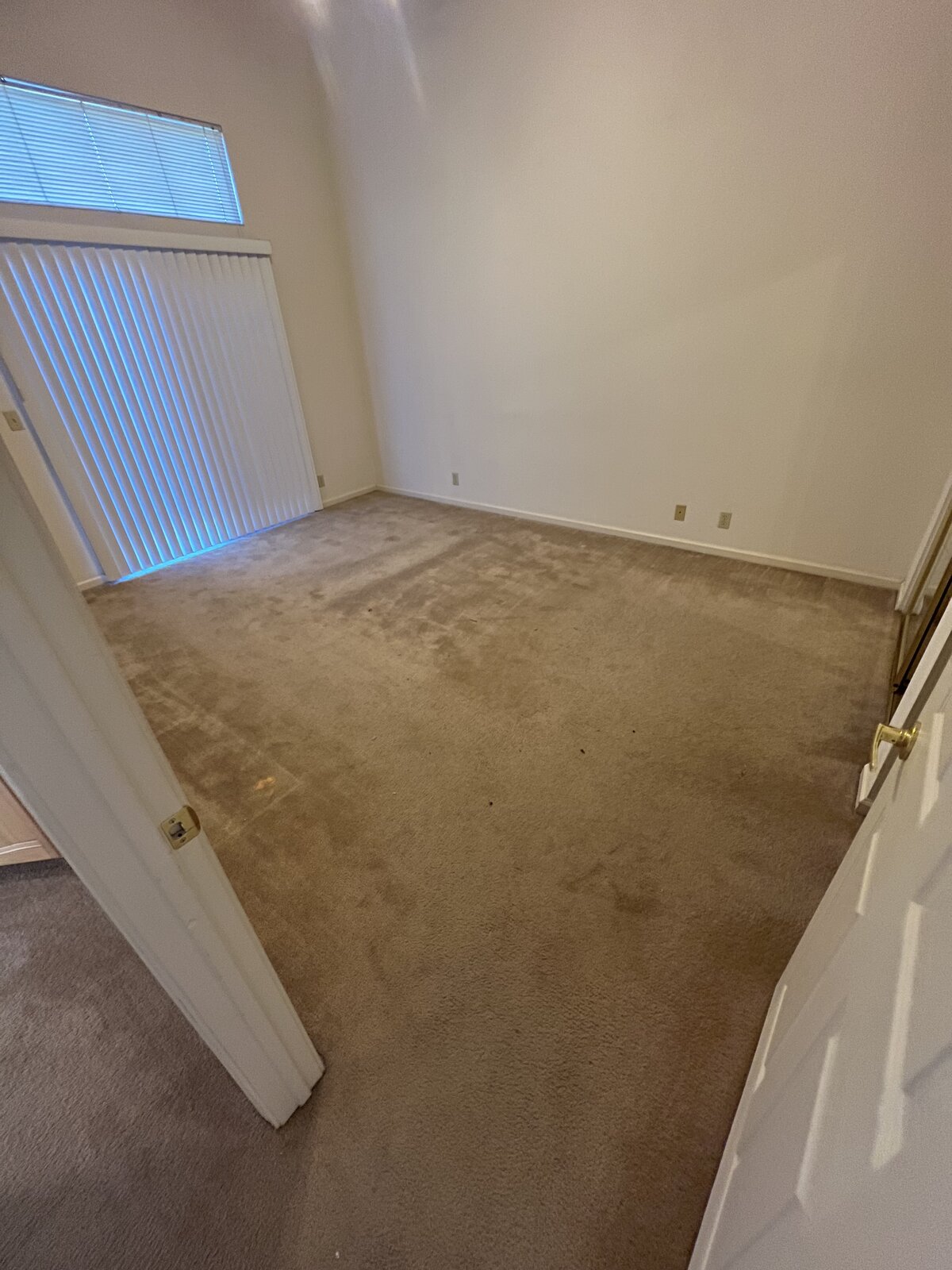 Pet-stained carpet before steam cleaning