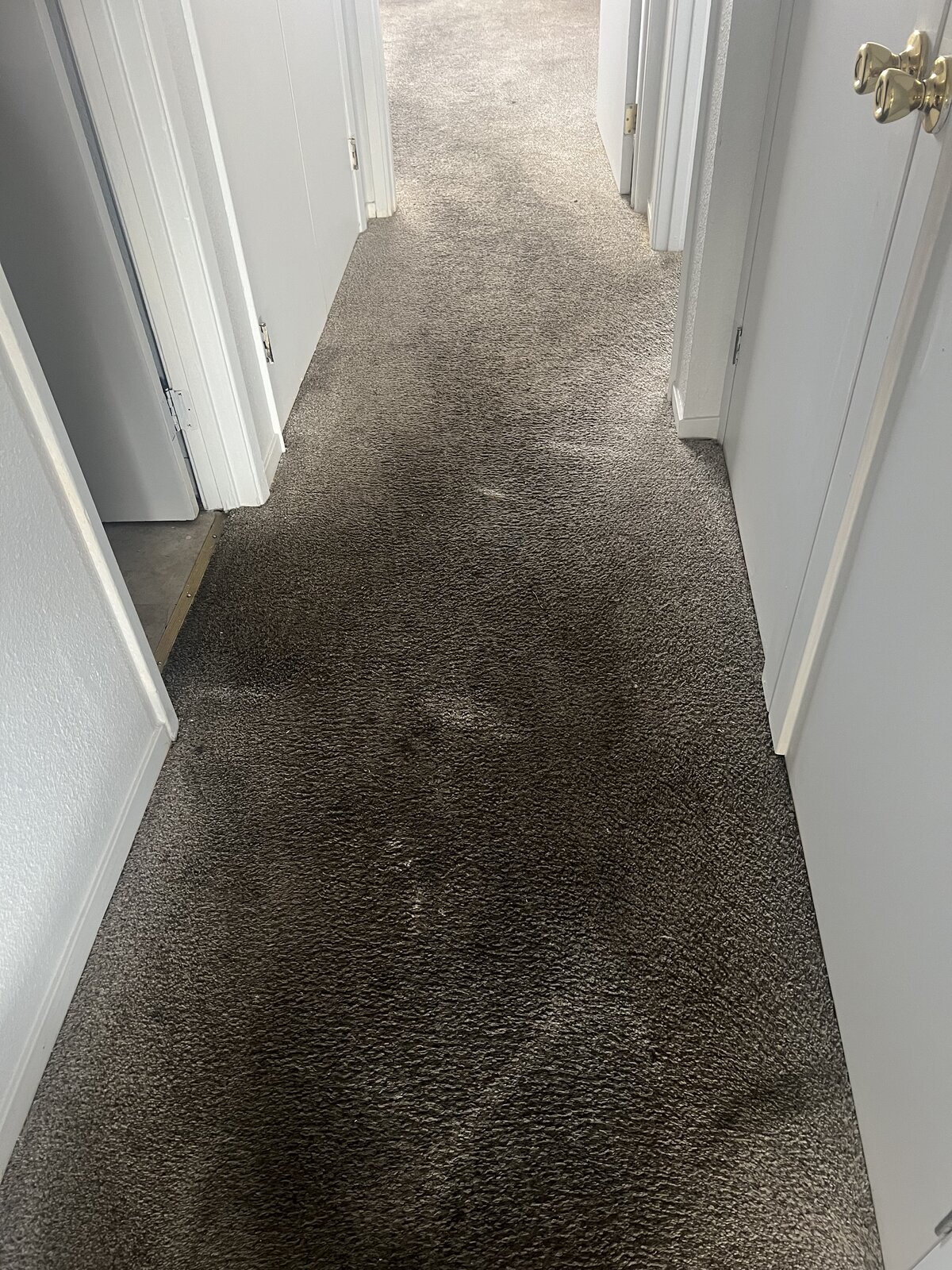 Carpet before steam cleaning