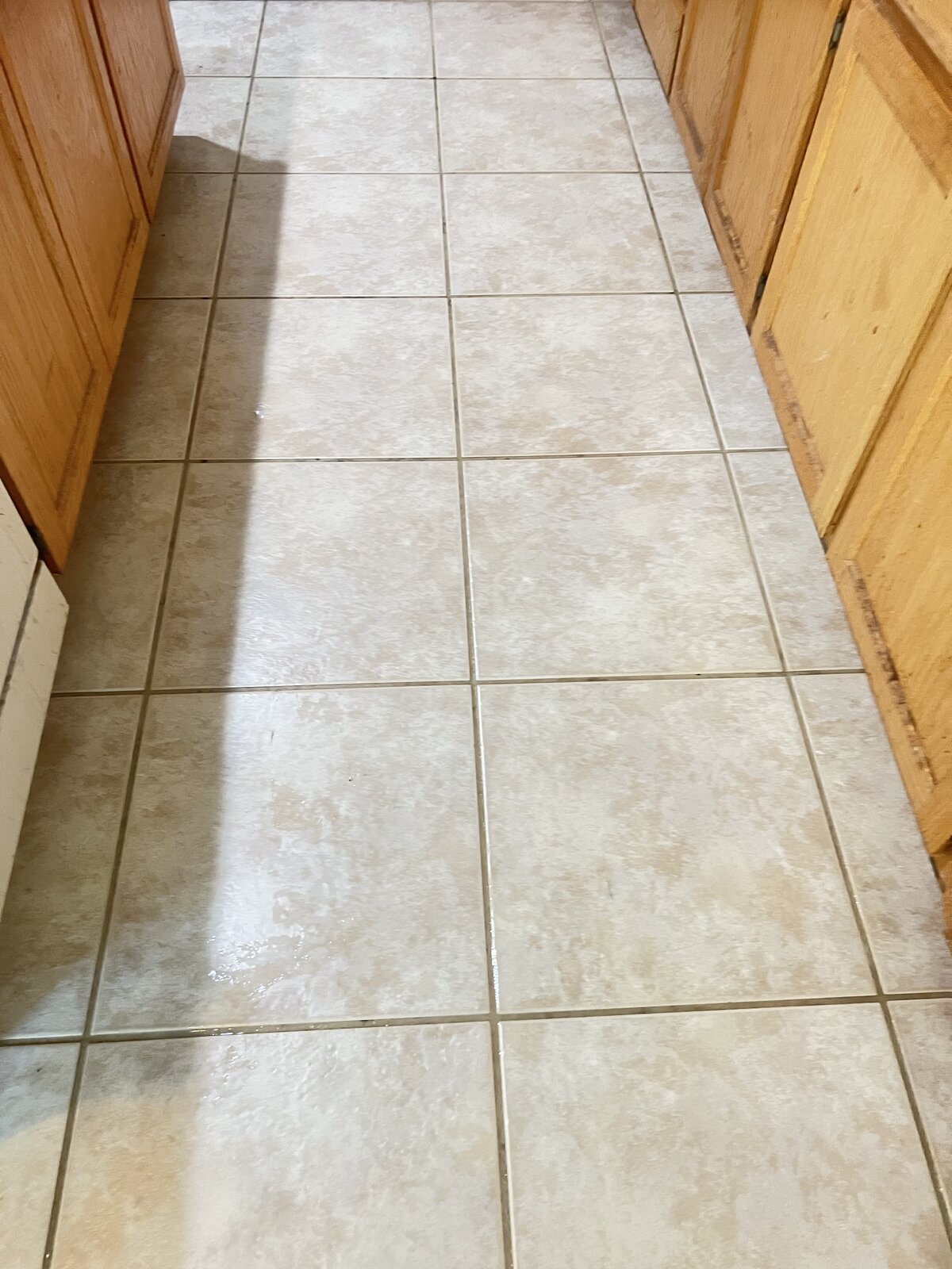 Carpet after deep clean