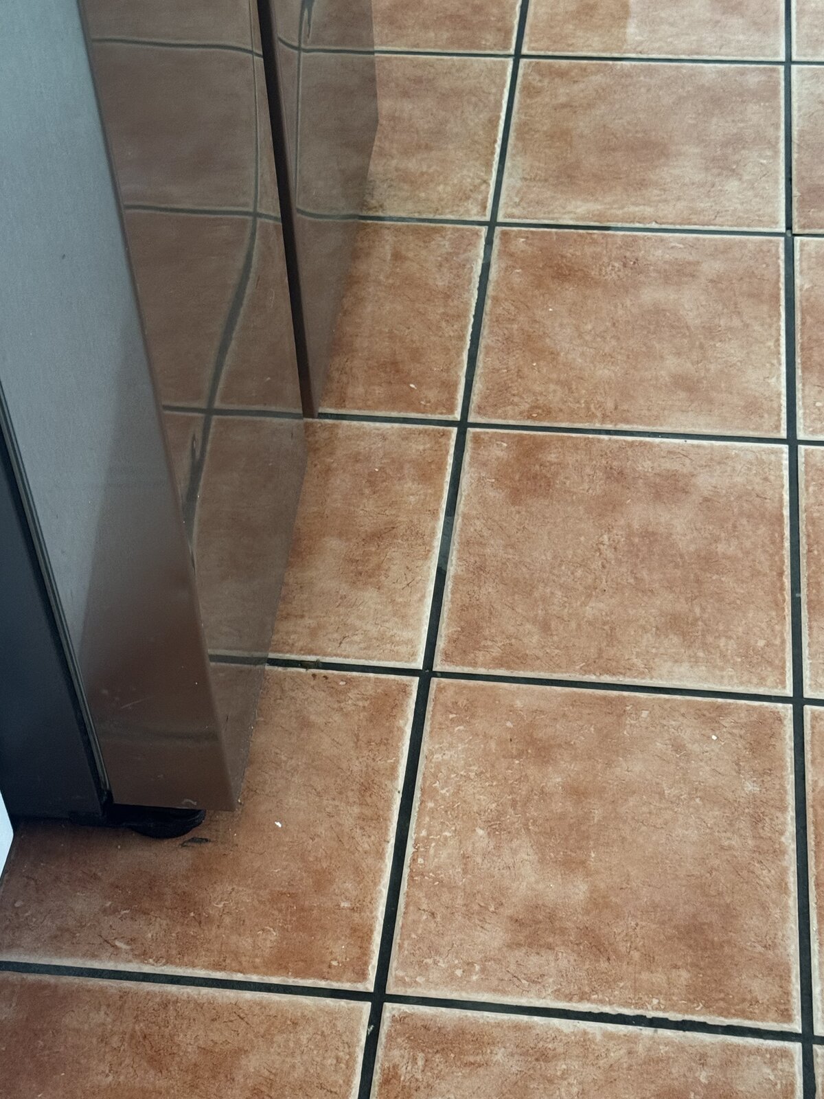 Tile and grout after cleaning and sealing