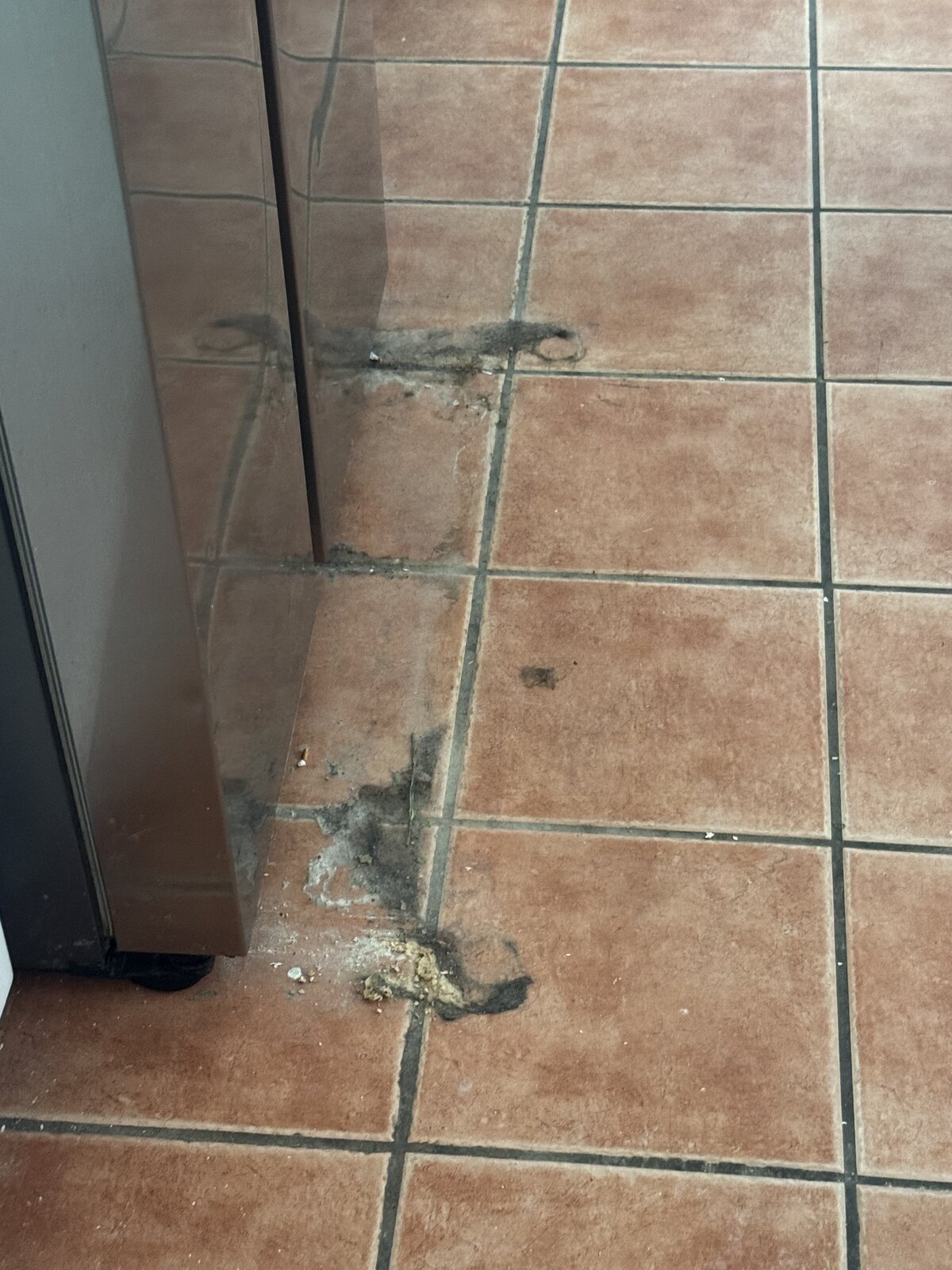 Tile and grout before cleaning