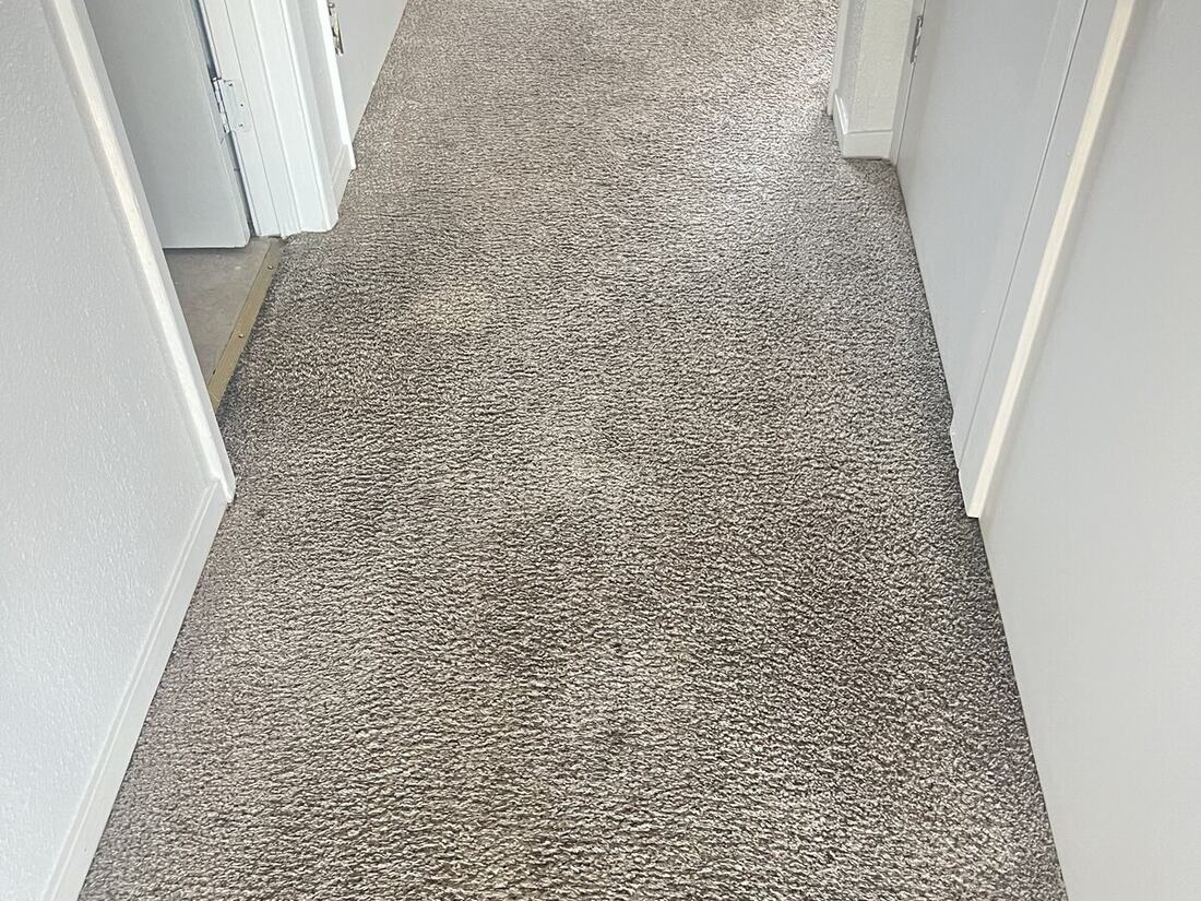 Carpet after steam cleaning