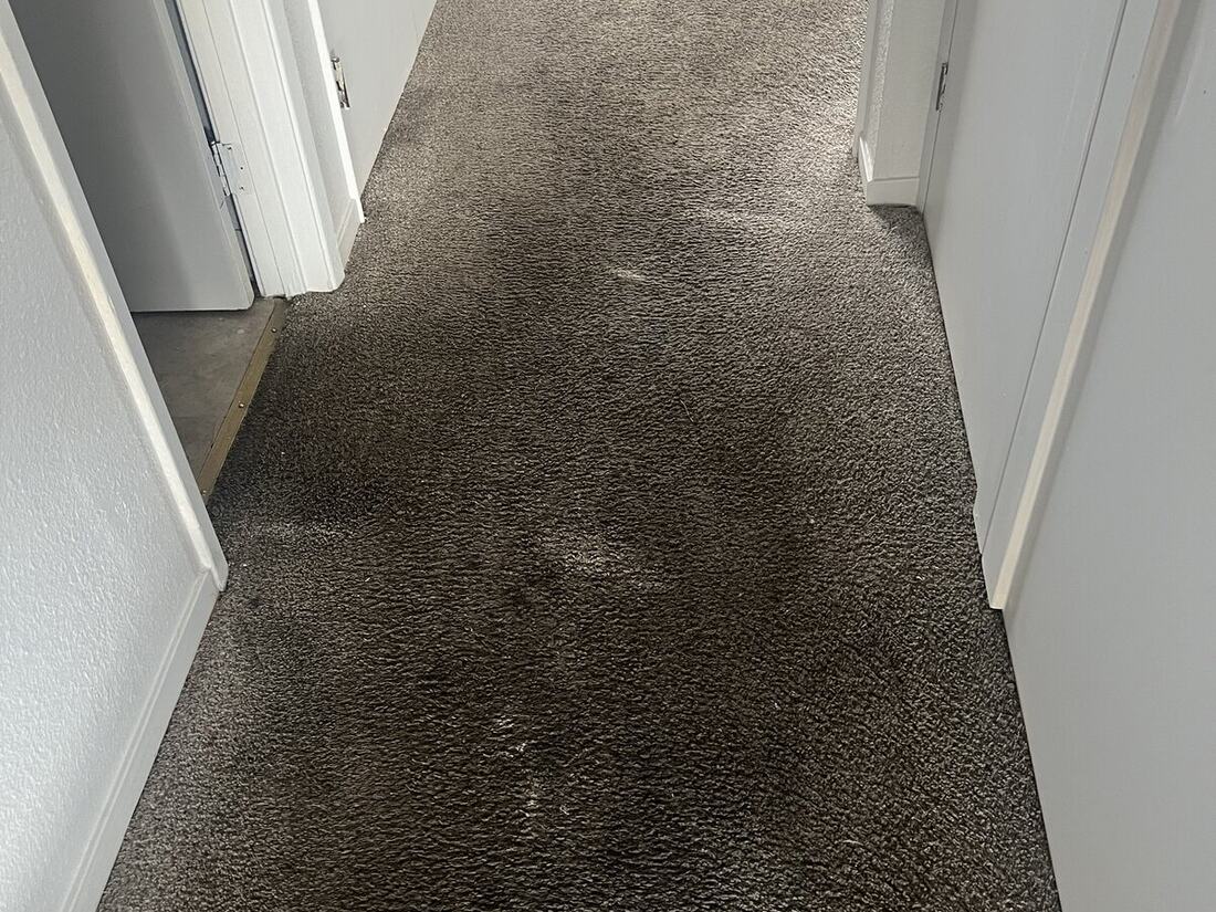 Carpet before steam cleaning
