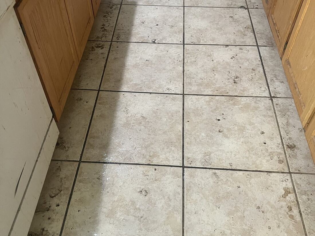 Carpet before deep clean